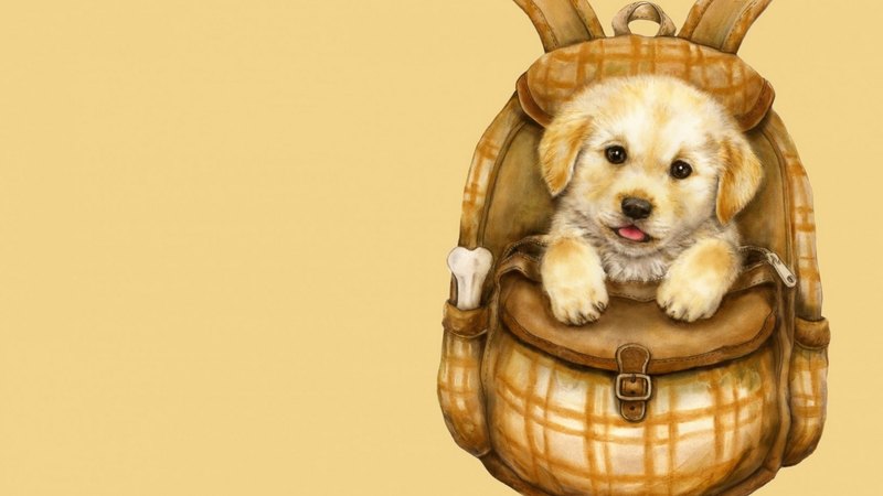 cute, art, backpack, yellow, puppy, dog, animal