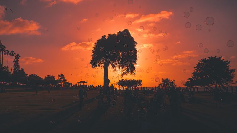soap bubbles, sunset, trees, people, 4k