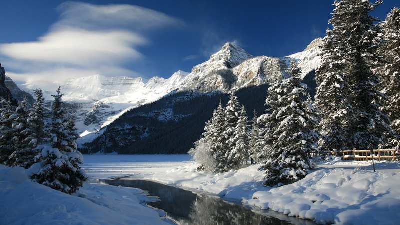 cloud, snow, mountains, ice, trees, frozen, landscape