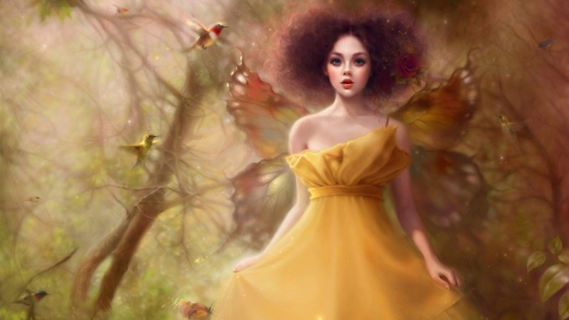 beauty, forest, fairy, wings