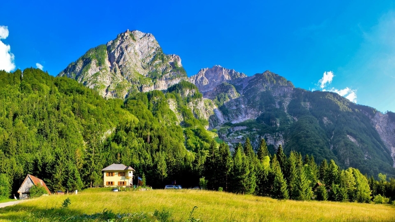 mountain, forest, green, lodges, nature, trees