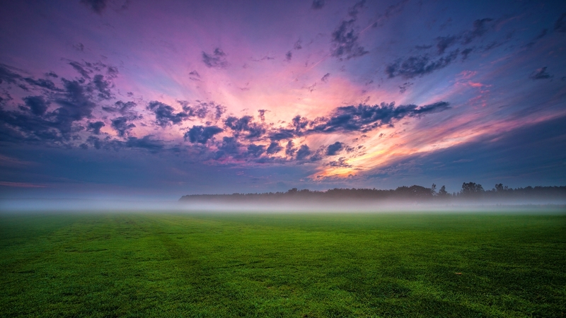 nature, beautiful, field, fog