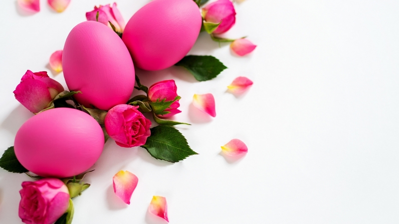 egg, rose, flower, easter, petals, pink, pasti, card