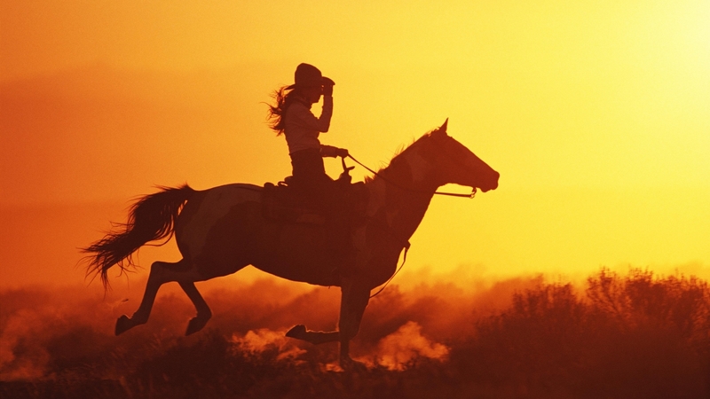 girl, horse, gallop, sunset