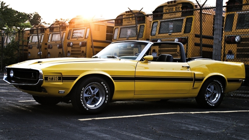 mustang, ford, convertible, 1969, car, shelby, gt350