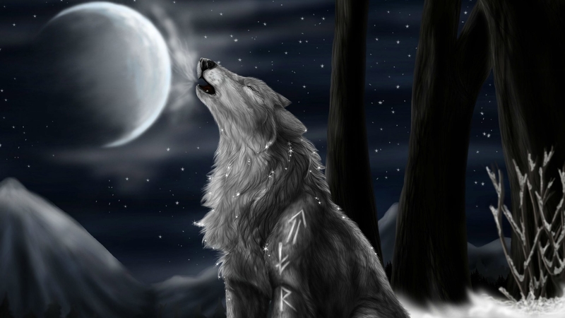 art, moon, snow, wolf, animal, winter
