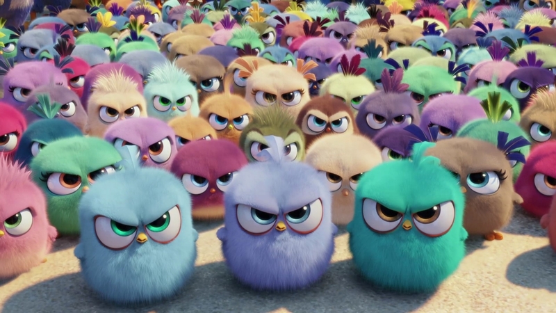 cute, movie, animation, texture, birds, skin, angry