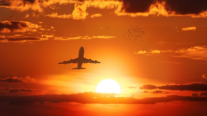 airplane, sun, flight, sunset, birds, sky, 4k
