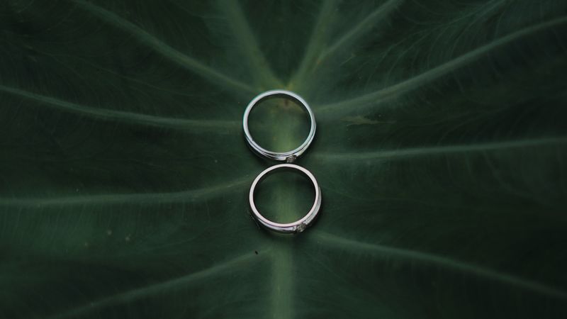 wedding rings, rings, couple, love, wedding, 4k