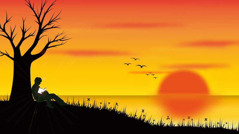 silhouette, loneliness, reading, tree, 4k