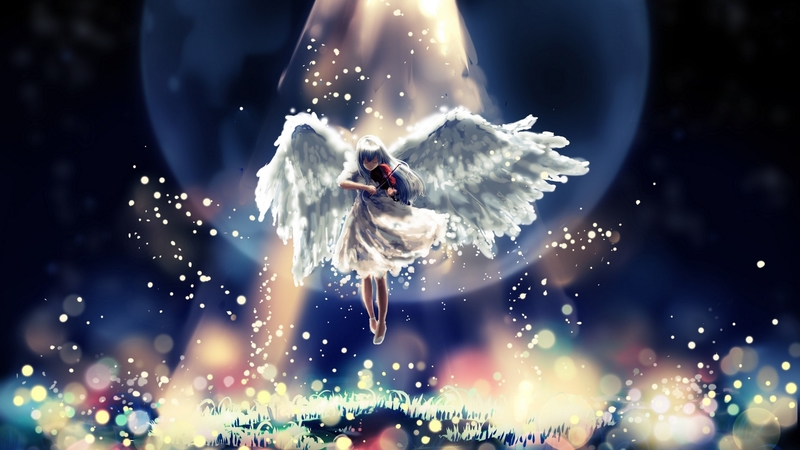 violin, wings, angel, manga, instrument, fantasy, girl, feather, anime, white