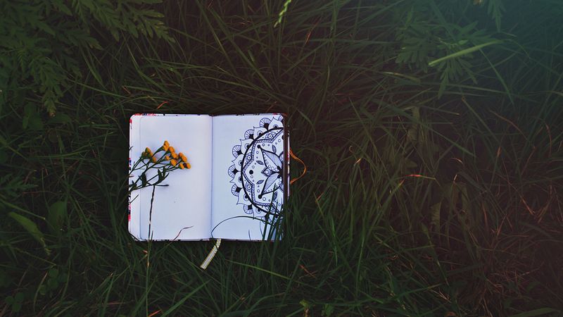 notepad, patterns, flowers, grass, 4k