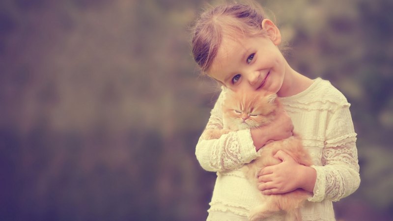 fetita, ginger, cat, animal, sweet, cute, girl, copil, child, kitten