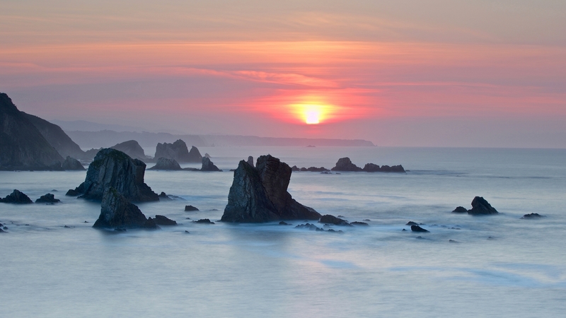 tree, nature, rock, sunset