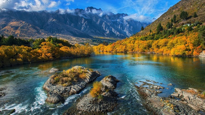 forest, fall, beautiful, trees, shrubs, valley, mountains, new zealand, river