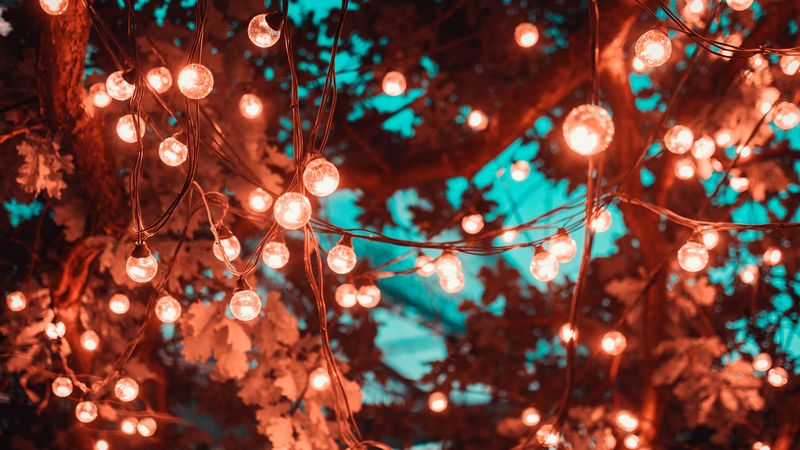 light bulbs, garland, lighting, blur, 4k