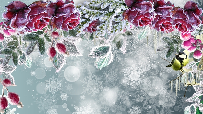 snowflakes, roses, frost, winter, fall, 19, autumn, leaves, bird, chickadee, fireafox theme