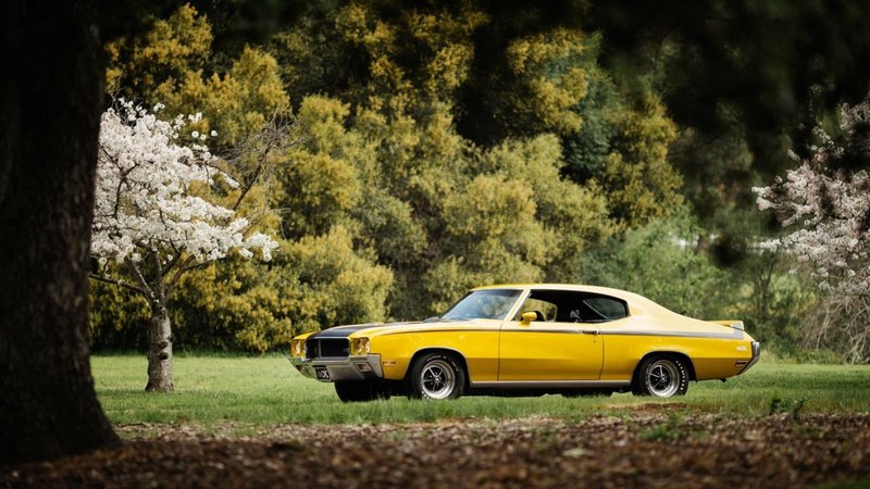 stripe, yellow, gm, buick