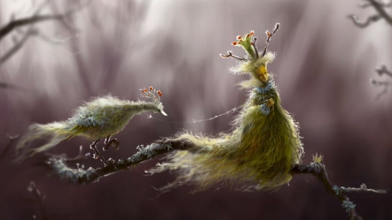 luminos, pasare, queen, pet, fantasy, purple, bird, green, fairy