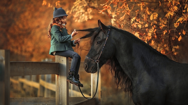 girl, horse, autumn, child