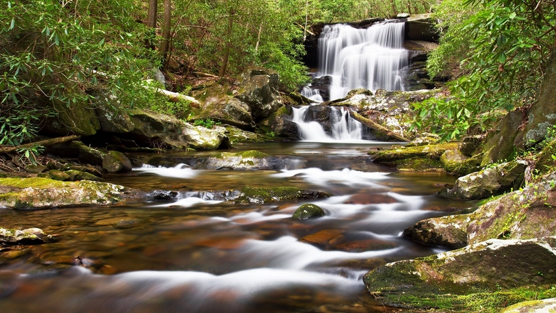 forest, cool, waterfall, nature, river, fun