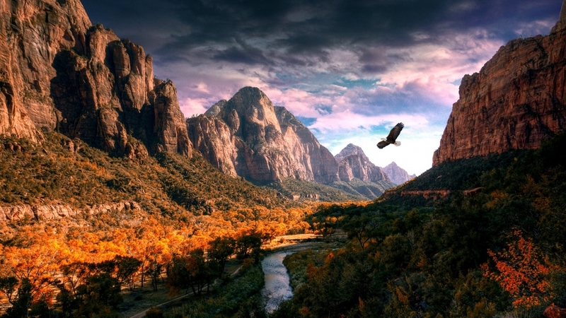 stream, autumn, dawn, eagle, gorge, twilight, trees, sky, clouds, mountains, river, firefox persona theme