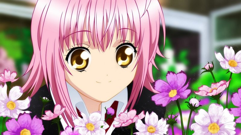 flowers, white, pink, girl