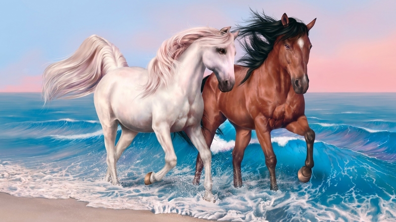 beach, horse, run, animal