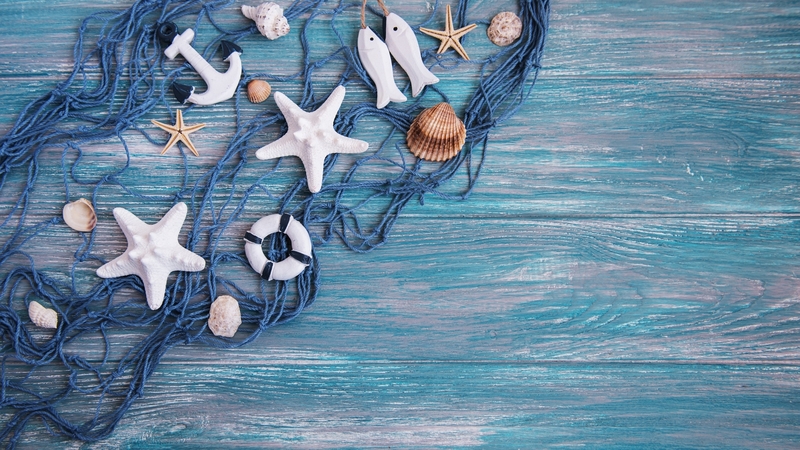 vara, card, wood, shell, summer, starfish