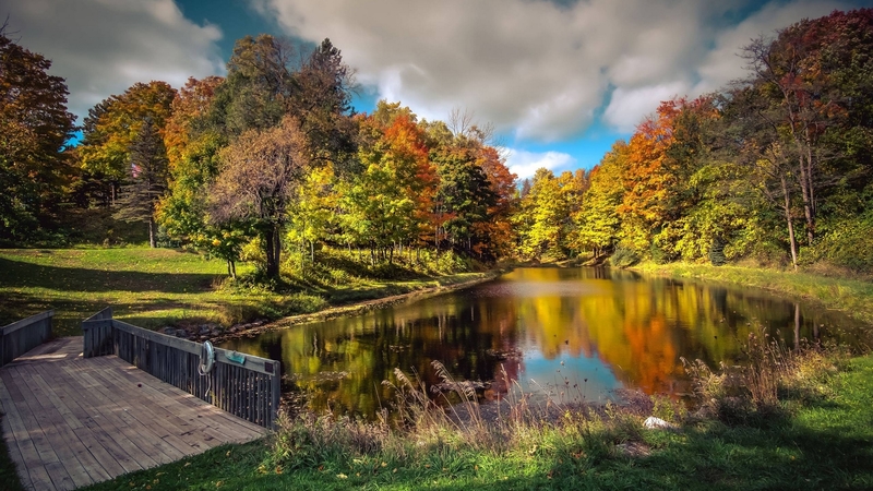 forest, cool, river, nature, fun