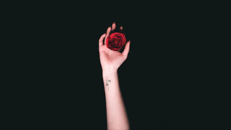 hand, roses, tattoo, minimalism, 4k