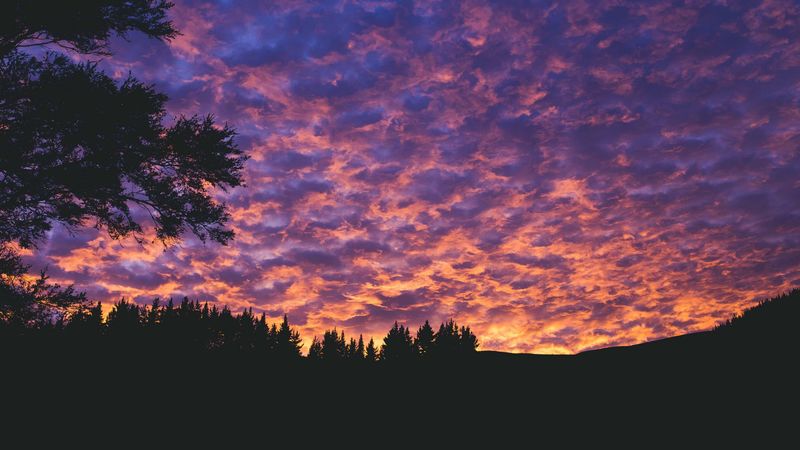 clouds, trees, sunset, porous, evening, 4k