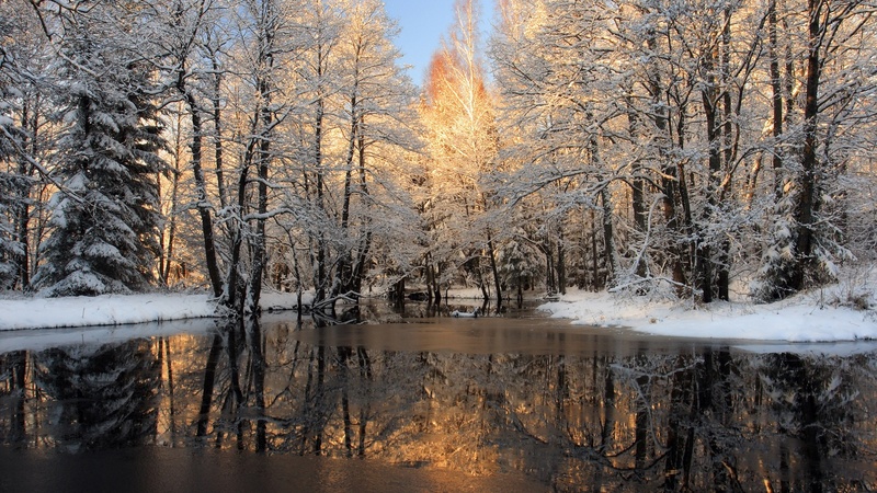 snow, nature, beautiful, forests, trees, frozen, rivers, winter