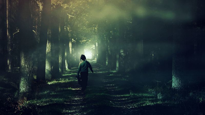 child, forest, fog, walk, 4k