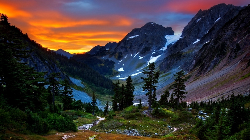 colorful, grass, woods, beautiful, sunset, clouds, valley, splendor, green, beauty, sunrise, light, forest, lovely, view, colors, sky, trees, pines, tree, snow, mountains, peaceful, nature, landscape