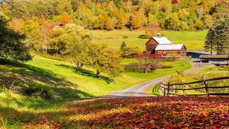 fall, autumn, house, vermont, cottage, beautiful, trees, foliage, countryside, path, peaceful, village, field, landscape