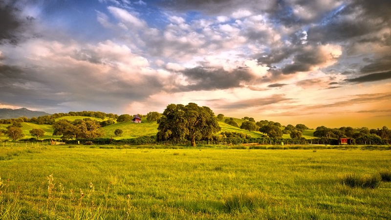 green, grass, clean, peaceful, tranquility