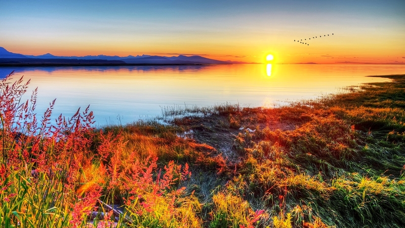 mountain, beach, shore, plants, ocean, sunset, light