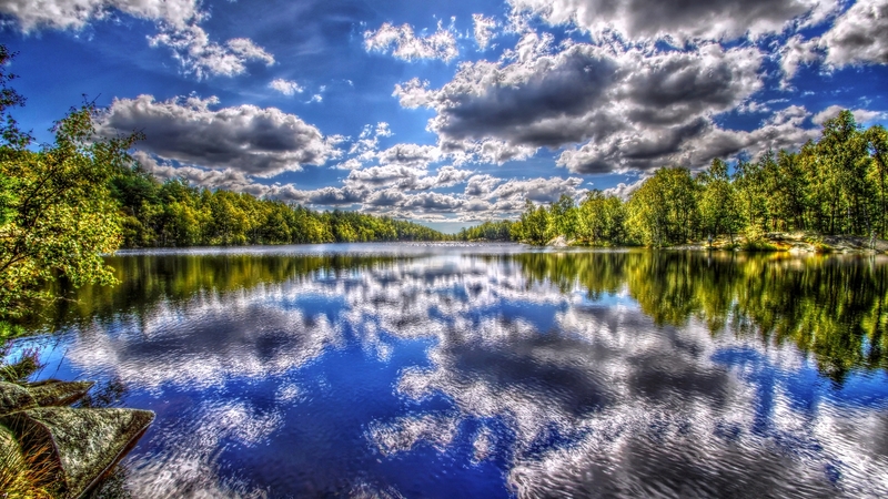 woods, beautiful, clouds, leaves, green, beauty, reflection, blue, forest, lovely, view, colors, sky, trees, lake, water, peaceful, nature