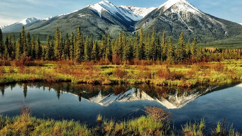mountain, nature, trees, landscape