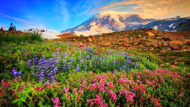 hills, pretty, rocks, colorful, beautiful, sky, mountain, paradise, wildflowers, summer, slope, meadow
