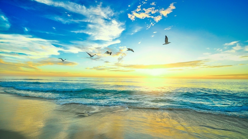 nature, sky, ocean, flight