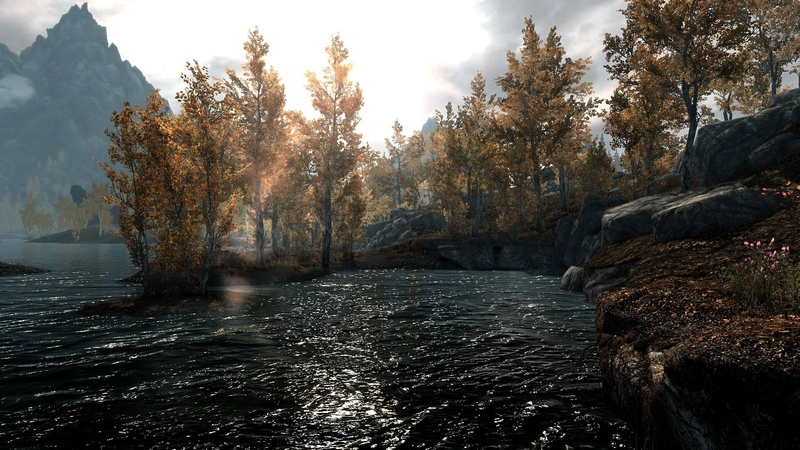 forest, cool, nature, fun, lake