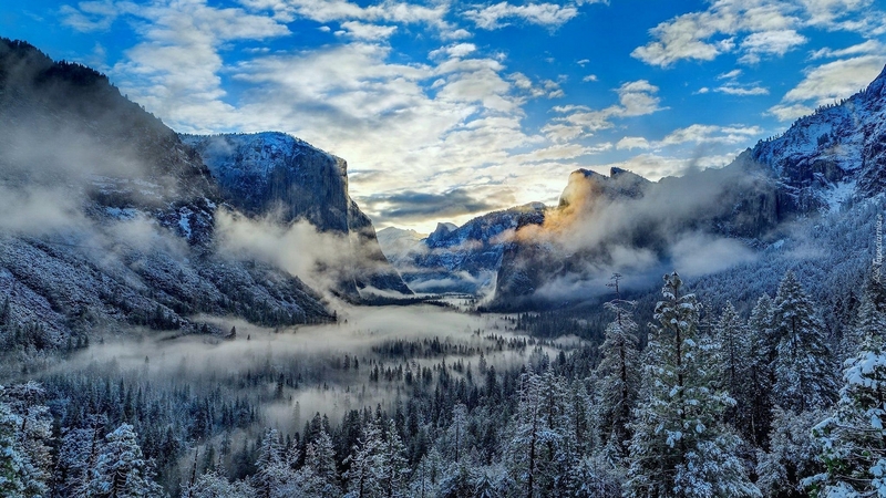 mountain, tree, nature, winter
