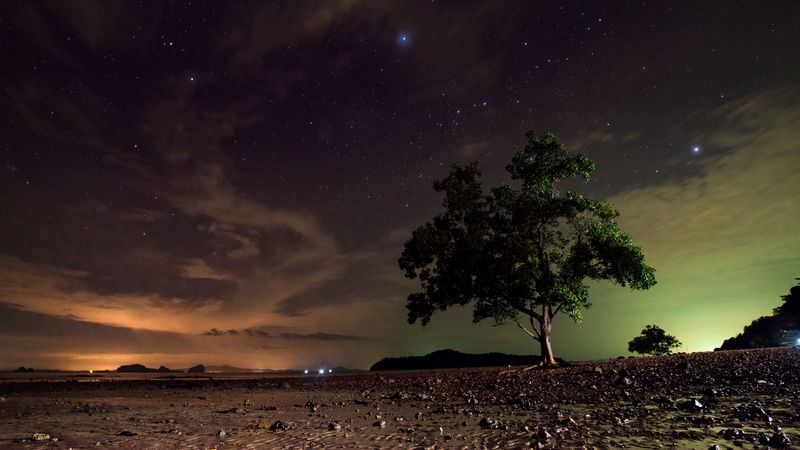 starry sky, tree, sand, night, koh lanta, thailand, 4k