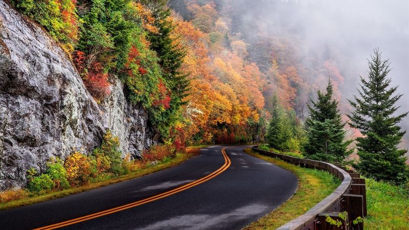 fall season, forests, photography, fog, autumn, roads, nature, mist
