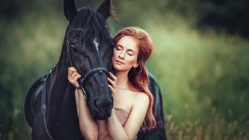 beauty beauty, person, beauty, nature, horse, woman