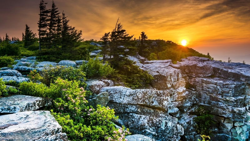 mountain, rocks, nature, sunset, trees, sky