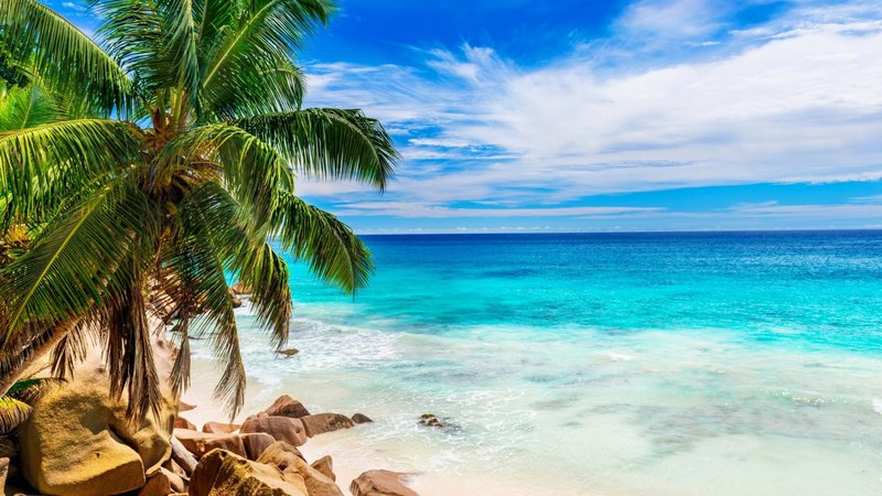 rocks, isle, shore, sun, rock, palm, clouds, sea, beach, stones, tropic, skyphoenixx1, season, vacation, holiday, ocean, waves, sky, palms, water, paradise, summer, sunshine, island, tropical, palm tree, coast