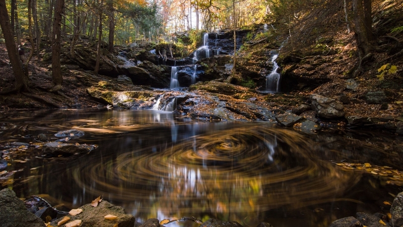 pond, forest, stream, nature